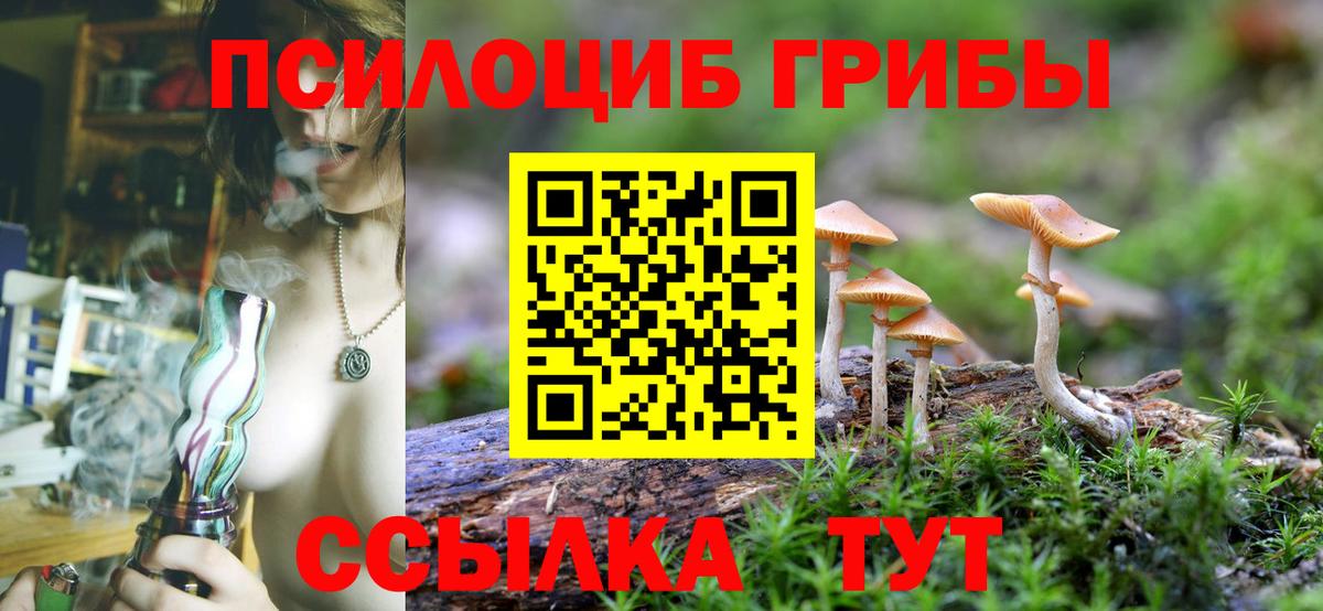 Чапаевск  Галлюциногенные грибы мухоморы  Вход с VPN 