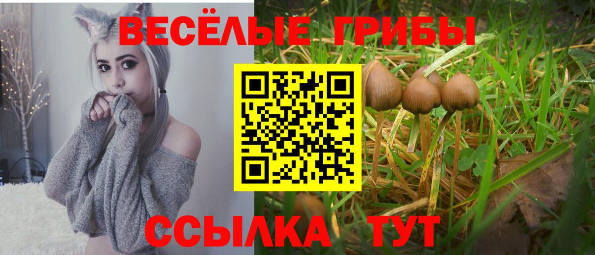 Псилоцибиновые грибы MAGIC MUSHROOMS Чапаевск